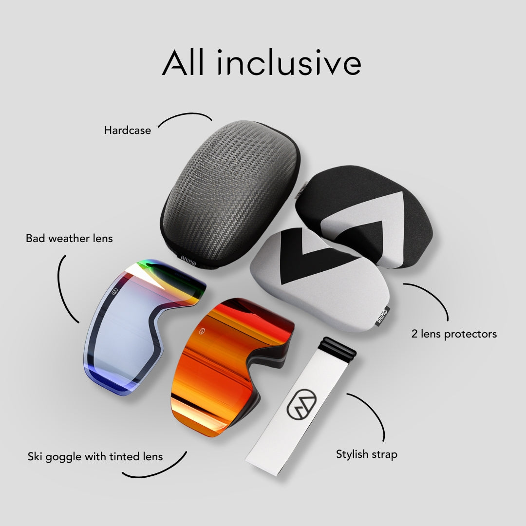 allinclusive-skigoggles_918d1678-f5ab-4189-9609-739690cf24d6.jpg