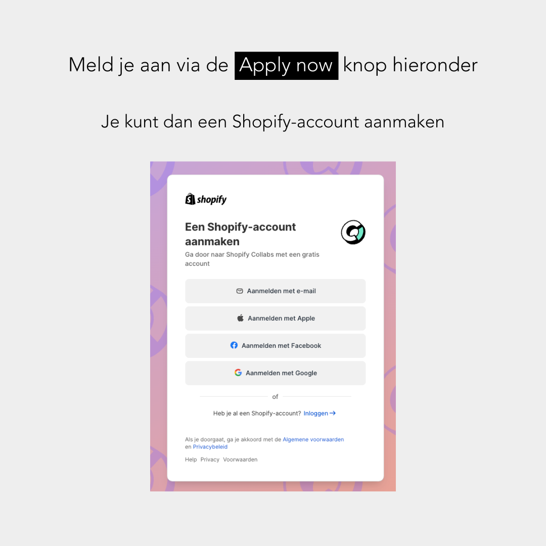 animo-ambassadeur.png