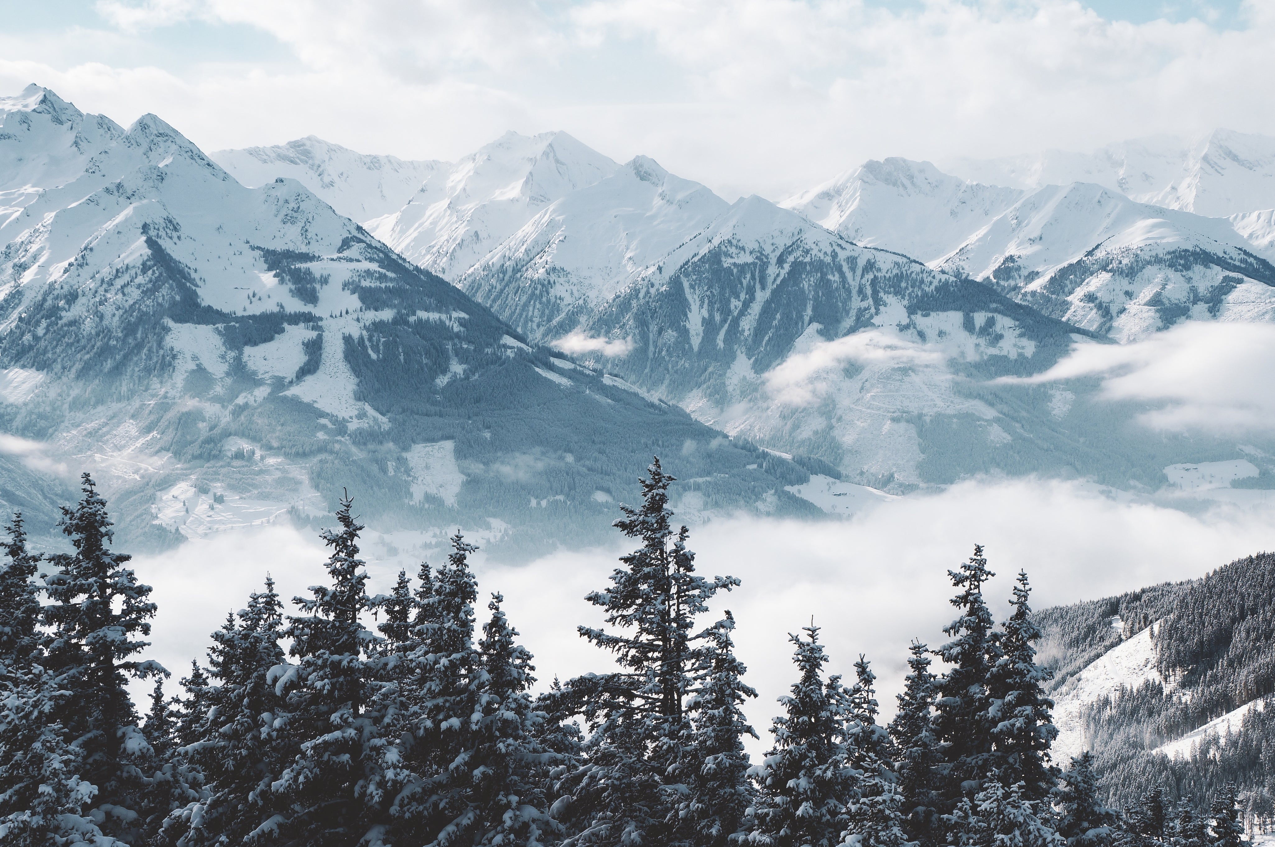 beautiful-shot-mountains-trees-covered-snow-fog.jpg