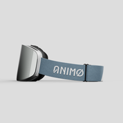 Skibril grijs#lenskleur_zilver
